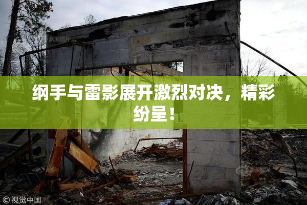 纲手与雷影展开激烈对决，精彩纷呈！