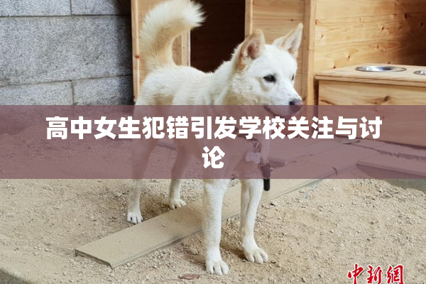 高中女生犯错引发学校关注与讨论