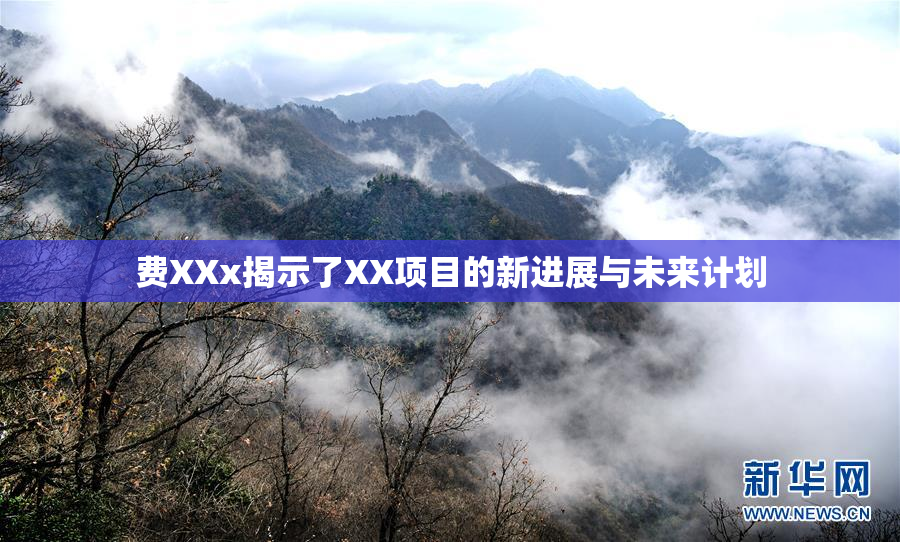 费XXx揭示了XX项目的新进展与未来计划