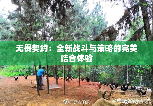 无畏契约：全新战斗与策略的完美结合体验