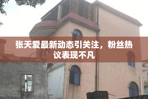 张天爱最新动态引关注，粉丝热议表现不凡