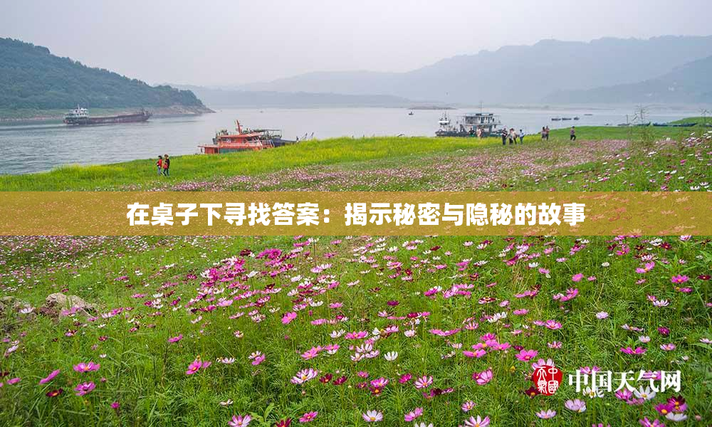 在桌子下寻找答案：揭示秘密与隐秘的故事