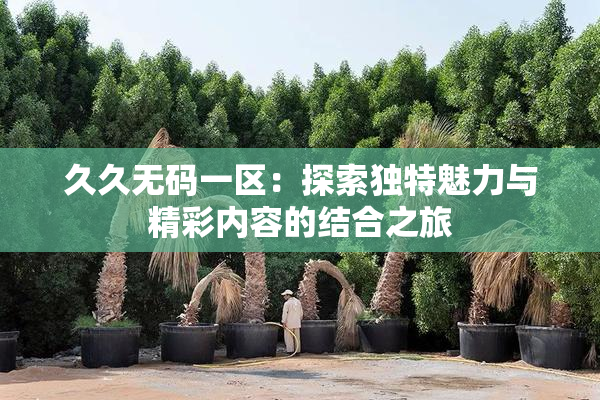 久久无码一区：探索独特魅力与精彩内容的结合之旅