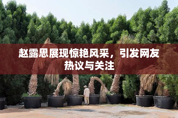 赵露思展现惊艳风采，引发网友热议与关注