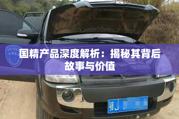 国精产品深度解析：揭秘其背后故事与价值