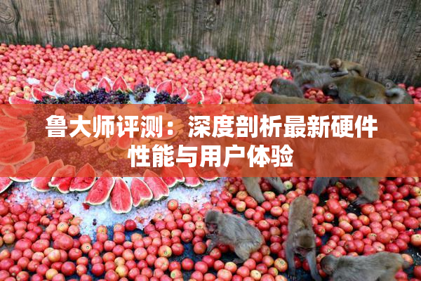 鲁大师评测：深度剖析最新硬件性能与用户体验