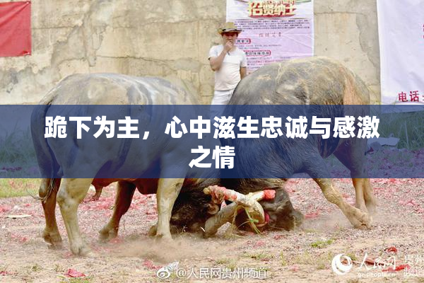 跪下为主，心中滋生忠诚与感激之情