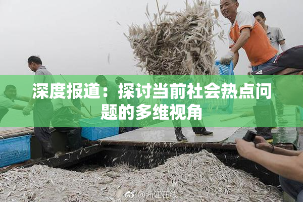 深度报道：探讨当前社会热点问题的多维视角