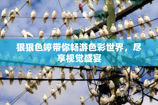 狠狠色婷带你畅游色彩世界，尽享视觉盛宴