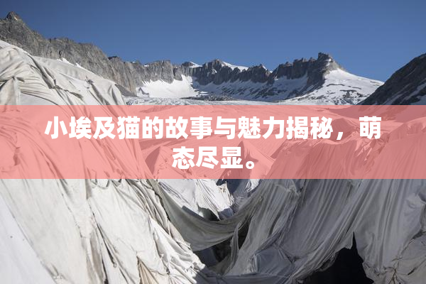 小埃及猫的故事与魅力揭秘，萌态尽显。
