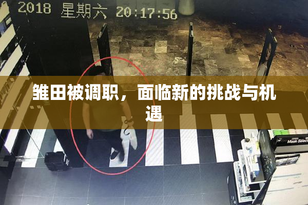 雏田被调职，面临新的挑战与机遇