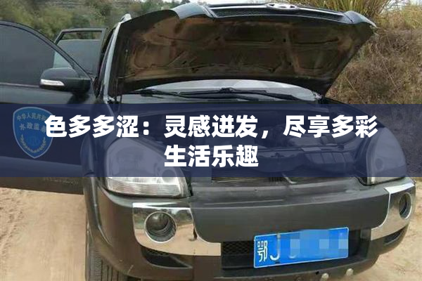 色多多涩：灵感迸发，尽享多彩生活乐趣