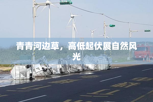 青青河边草，高低起伏展自然风光