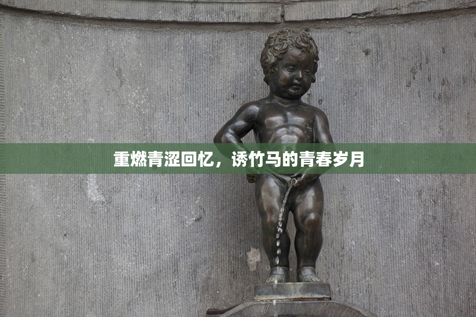 重燃青涩回忆，诱竹马的青春岁月