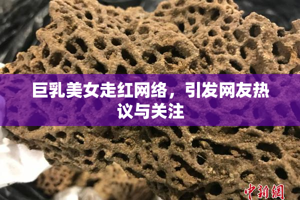 巨乳美女走红网络，引发网友热议与关注