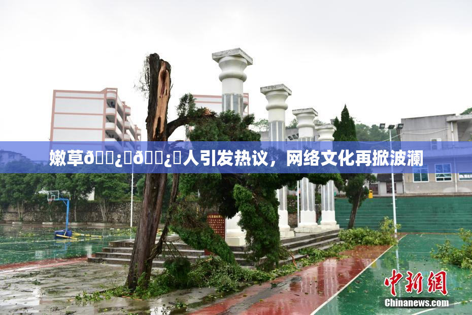 嫩草🌿‌🌿‌人引发热议，网络文化再掀波澜