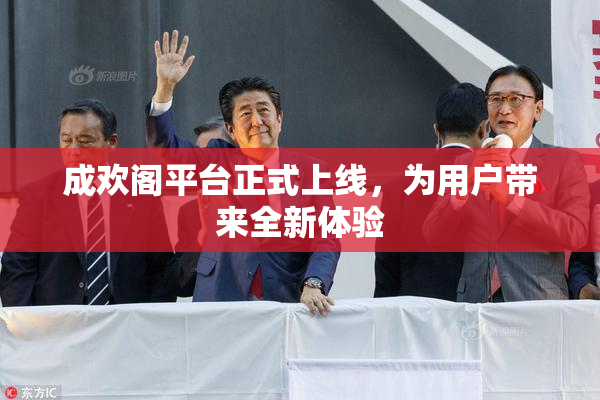 成欢阁平台正式上线，为用户带来全新体验