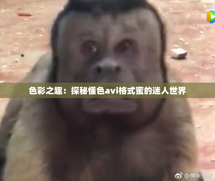 色彩之趣：探秘懂色avi格式蜜的迷人世界