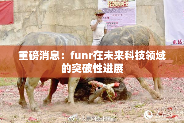 重磅消息：funr在未来科技领域的突破性进展