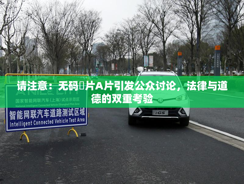 请注意：无码婬片A片引发公众讨论，法律与道德的双重考验