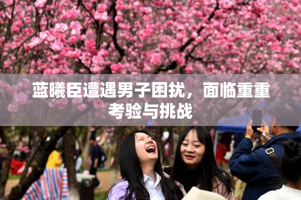 蓝曦臣遭遇男子困扰，面临重重考验与挑战
