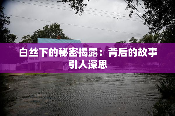 白丝下的秘密揭露：背后的故事引人深思