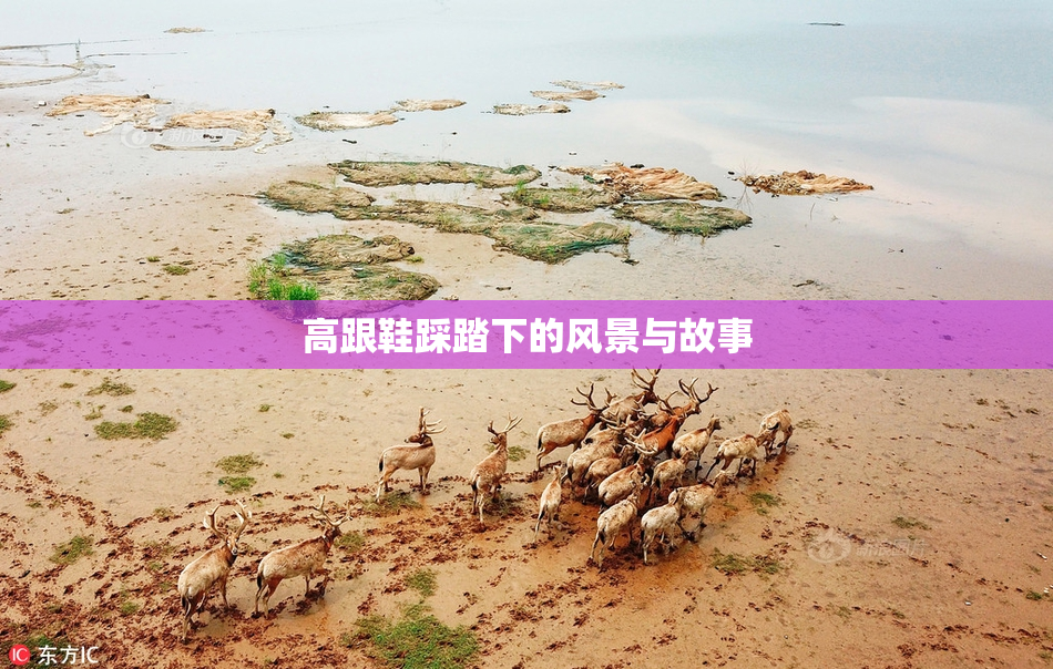 高跟鞋踩踏下的风景与故事