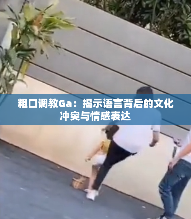 粗口调教Ga：揭示语言背后的文化冲突与情感表达
