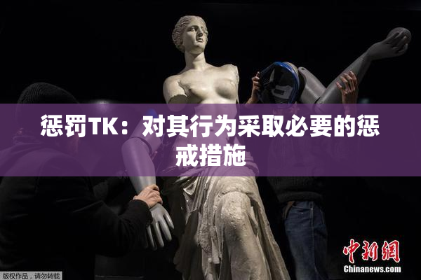 惩罚TK：对其行为采取必要的惩戒措施