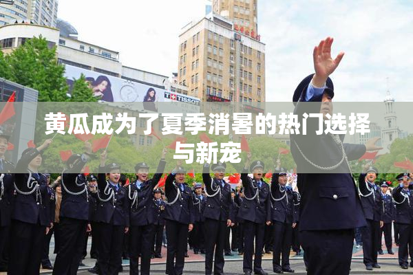 黄瓜成为了夏季消暑的热门选择与新宠