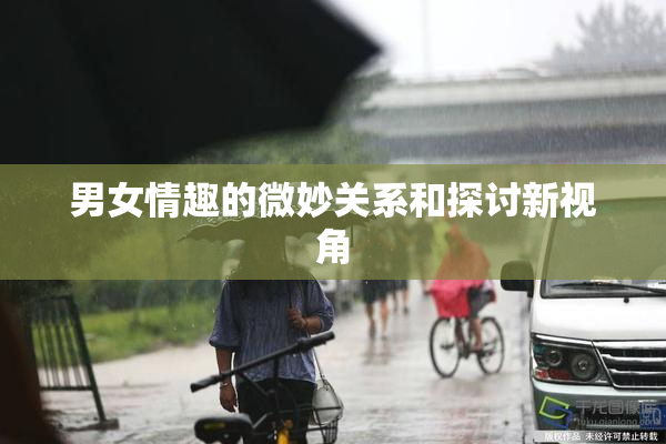男女情趣的微妙关系和探讨新视角