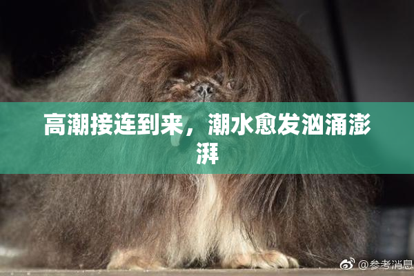 高潮接连到来，潮水愈发汹涌澎湃