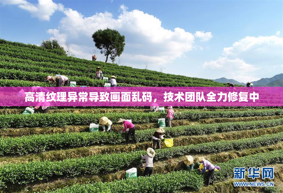 高清纹理异常导致画面乱码，技术团队全力修复中