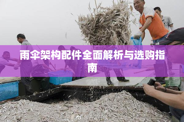 雨伞架构配件全面解析与选购指南
