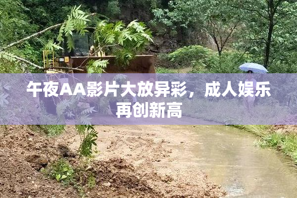 午夜AA影片大放异彩，成人娱乐再创新高