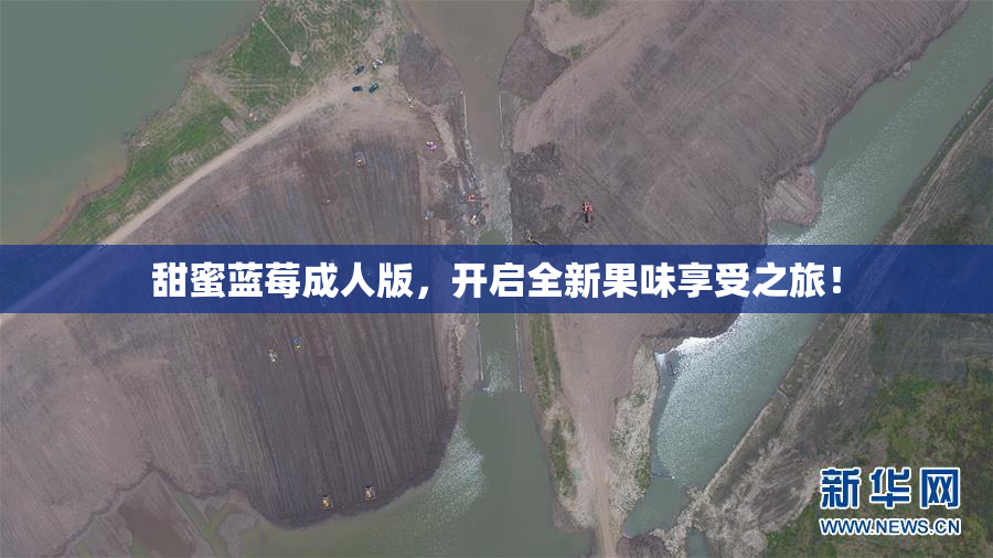 甜蜜蓝莓成人版，开启全新果味享受之旅！