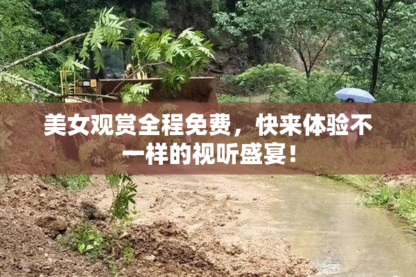 美女观赏全程免费，快来体验不一样的视听盛宴！