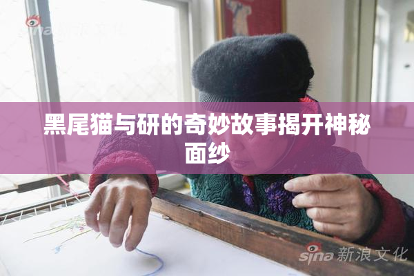 黑尾猫与研的奇妙故事揭开神秘面纱