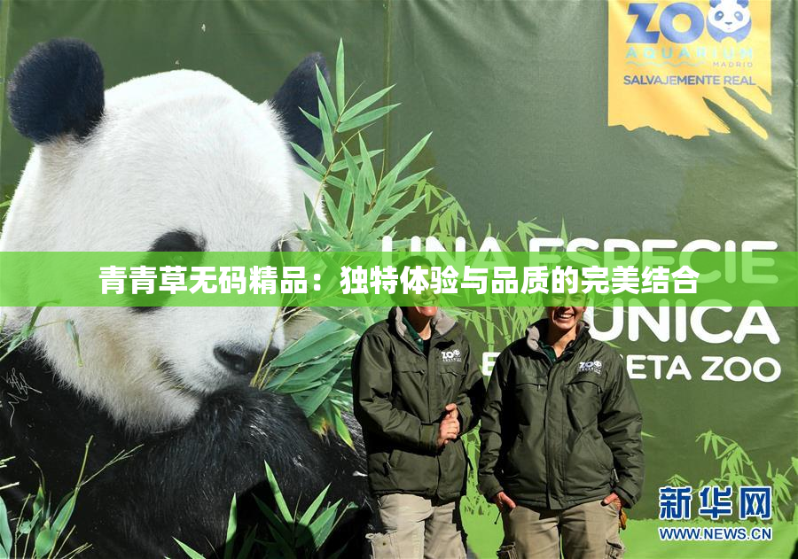 青青草无码精品：独特体验与品质的完美结合