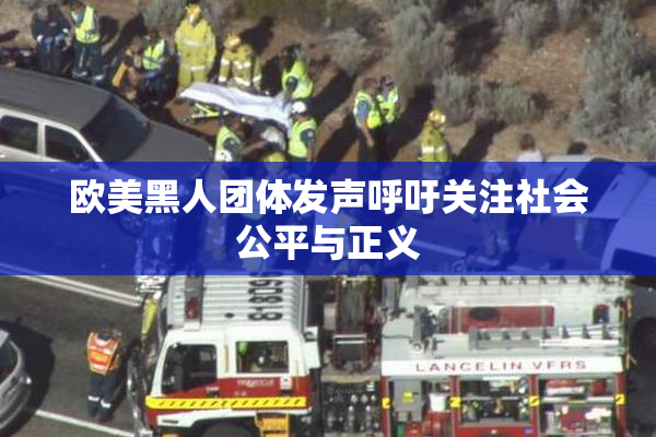 欧美黑人团体发声呼吁关注社会公平与正义