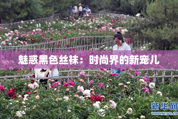 魅惑黑色丝袜：时尚界的新宠儿