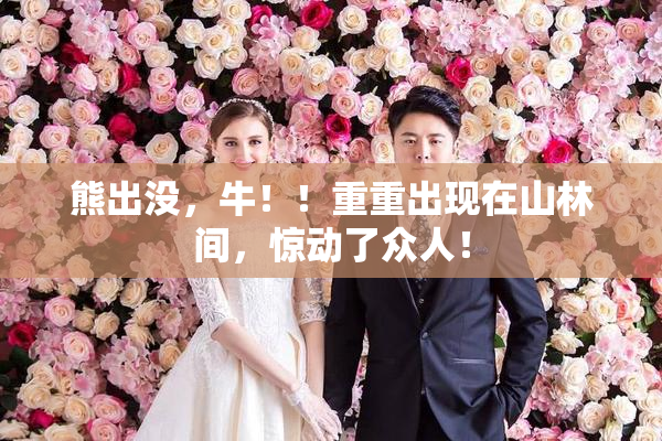 熊出没，牛！！重重出现在山林间，惊动了众人！
