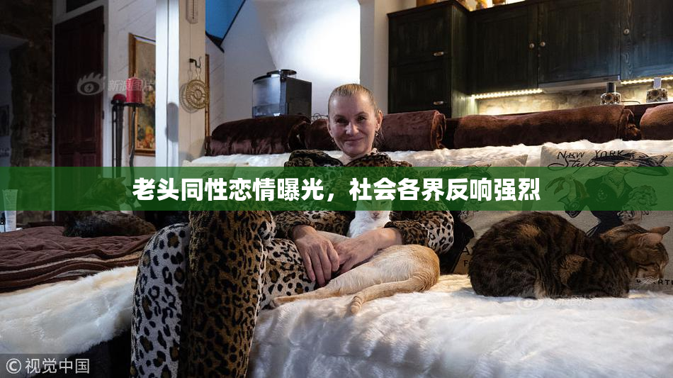 老头同性恋情曝光，社会各界反响强烈