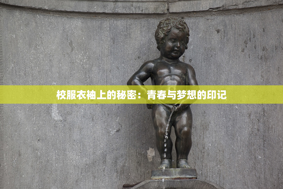 校服衣袖上的秘密：青春与梦想的印记