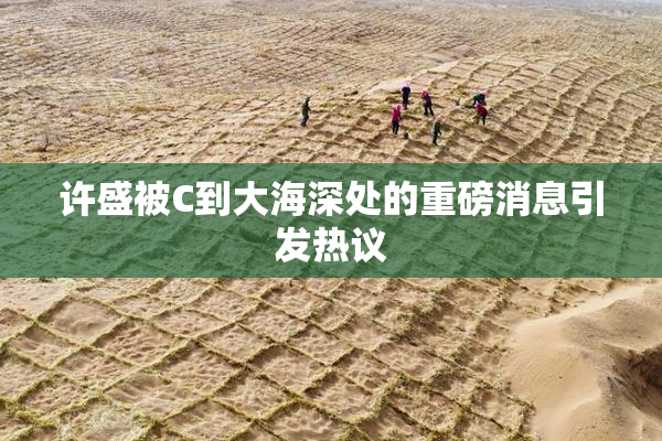 许盛被C到大海深处的重磅消息引发热议