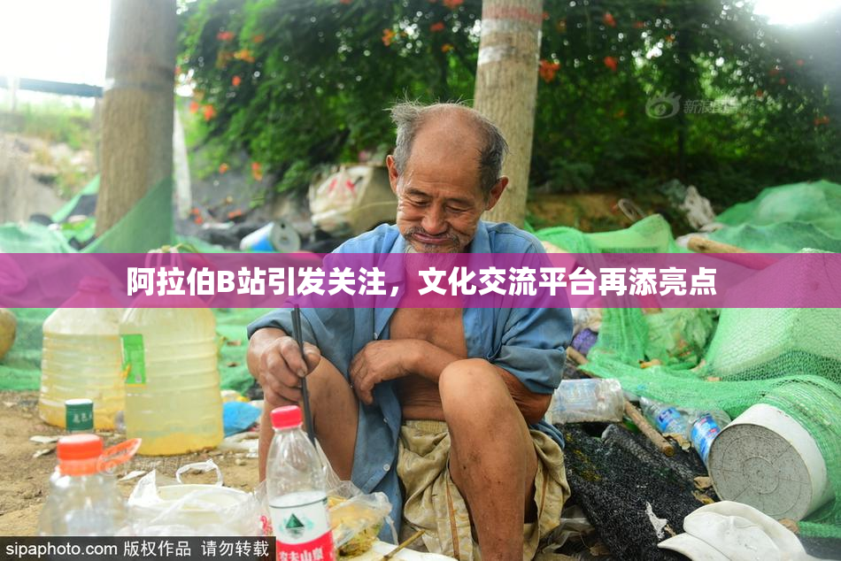 阿拉伯B站引发关注，文化交流平台再添亮点