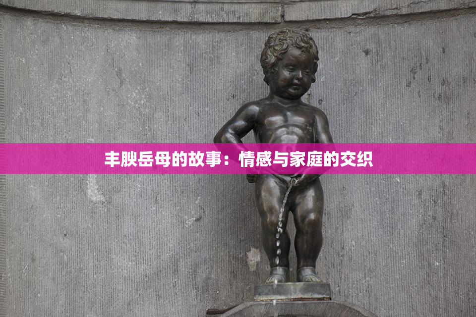 丰腴岳母的故事：情感与家庭的交织