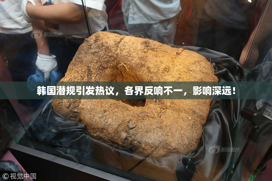 韩国潜规引发热议，各界反响不一，影响深远！