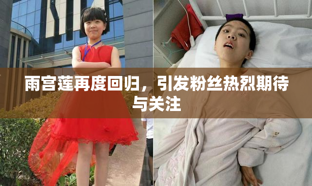 雨宫莲再度回归，引发粉丝热烈期待与关注