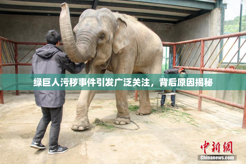 绿巨人污秽事件引发广泛关注，背后原因揭秘